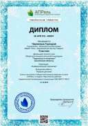 diplom_408531.pdf.jpeg