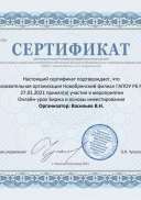сертификат финграмотность Васильев.pdf.jpeg