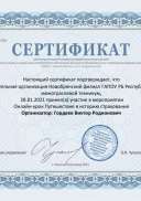 сертификат финграмотность Гордеев.pdf.jpeg