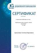 сетификат домашние игры мпадо.pdf.jpeg