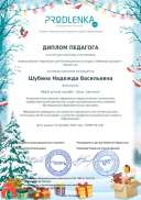 Диплом Шубина 8 февраля.pdf.jpeg