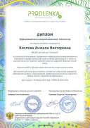 ikt_diploma.pdf.jpeg
