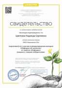 Свидетельство проекта infourok.ru №ЭЦ51883769.jpg