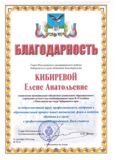 благодарность от главы.jpeg