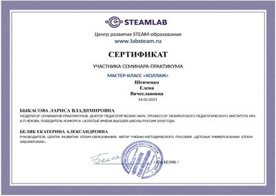 Сертификат семинар СТИМ 2.jpg