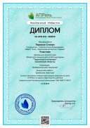 diplom_408535.pdf.jpeg