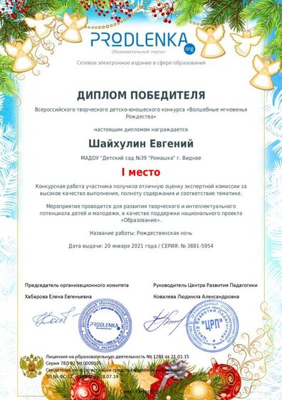 Шайхулин Евгений.pdf.jpeg