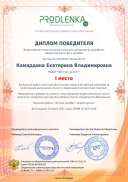 winner_diploma.pdf.jpeg