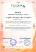 ikt_diploma.pdf.jpeg