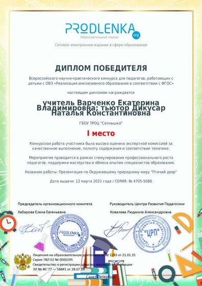 winner_diploma.pdf.jpeg