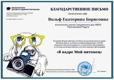 благодарственное письмо вольф.jpg