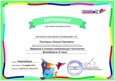 сертификат участника мастер-класса_Приходько О.С..pdf.jpeg