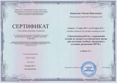 Сертификат работа с одарёнными детьми.jpg