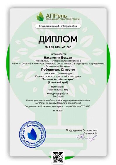 diplom_401006.pdf.jpeg