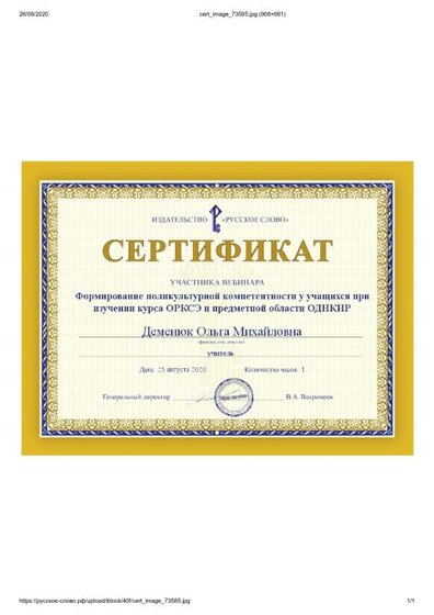 Участник вебинара.pdf.jpeg