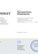 сертификат 2.pdf.jpeg