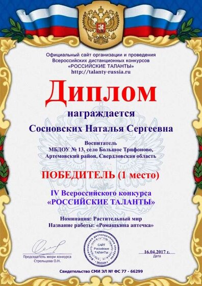 3_Diplom_Sosnovskikh_N_S.jpg
