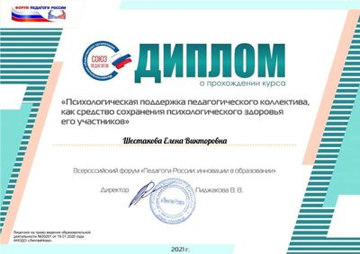 Шестакова Елена Викторовна.pdf.jpeg