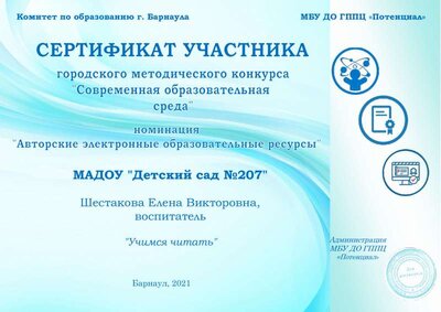 207 Сертификат Шестакова.pdf.jpeg