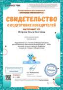 Свидетельство проекта infourok.ru №ЧВ66860493 (1).jpg