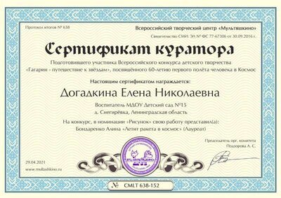 Догадкина Елена Николаевна.jpg