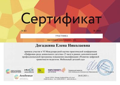 Догадкина Е Н.pdf.jpeg