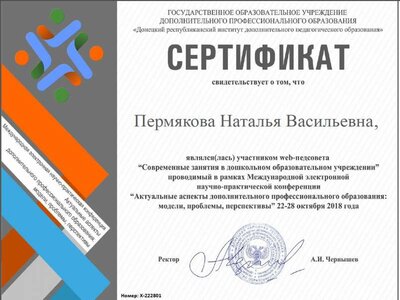 51-Пермякова-вебконференция.jpg