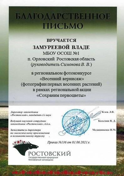 Слайд31.JPG
