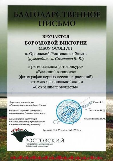 Слайд29.JPG