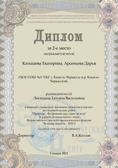 Лисицина Татьяна Васильевна. ПБД. 2. Катышева Ек….jpg
