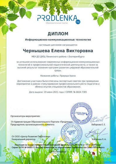 ikt_diploma.pdf.jpeg
