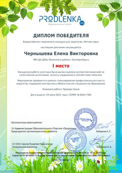 winner_diploma.pdf.jpeg