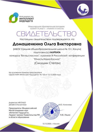 Домашенкина -Силушин.pdf.jpeg