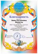 Благодарность nsпортал.png