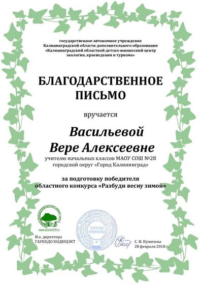 Васильевой.pdf.jpeg