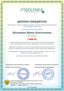 winner_diploma.pdf.jpeg