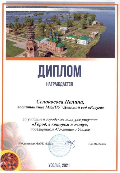 Сенокосова П дипломpdf.pdf.jpeg