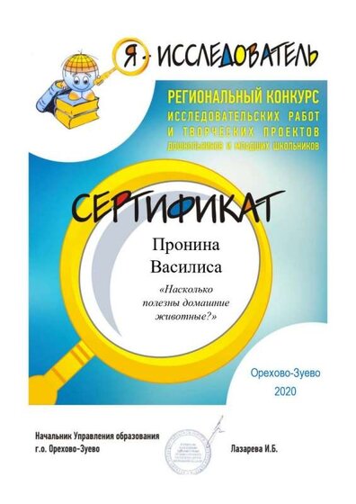Pronina_Vasilisa_page-0001.jpg