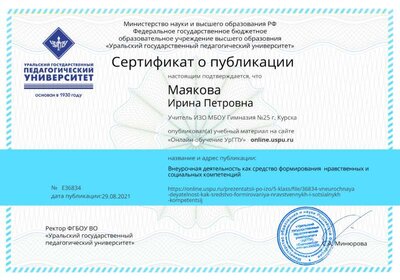 Сертификат_Внеурочная деятельность.jpg