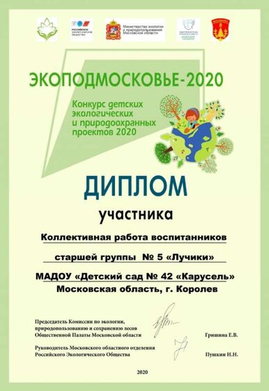 МАДОУ Детский сад  № 42 Карусель Диплом участника конкурса ЭКОПОДМОСКОВЬЕ2020 А4.jpg