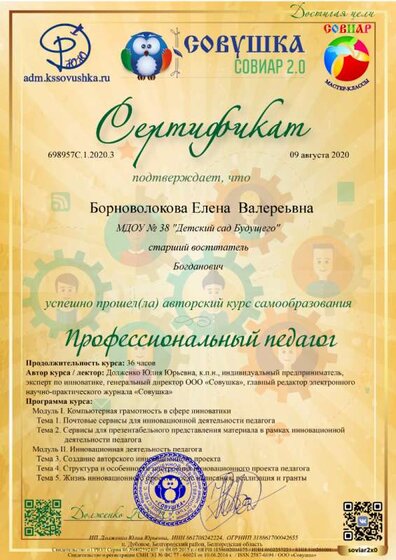 курс профессиональный педагог16 часов.png