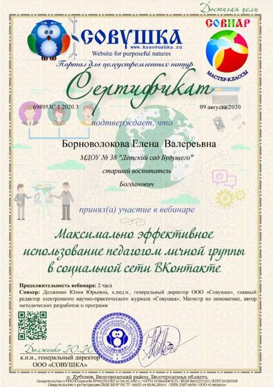 вебинар совушка использование вк.png