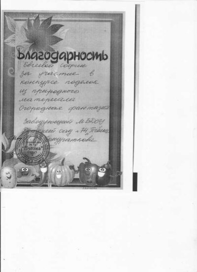 огородные фантазии 001.jpg