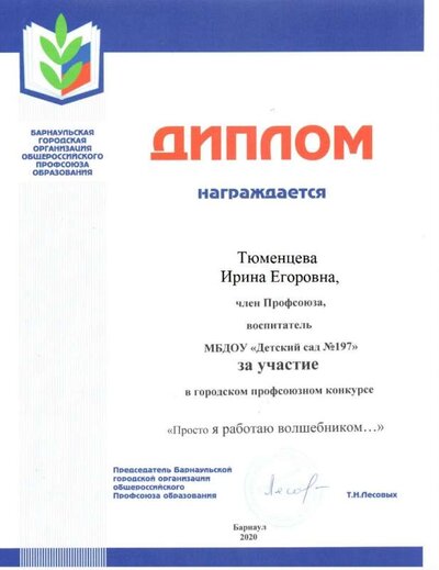 Диплом 2020.jpg