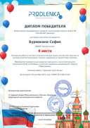 соня флаг 21.pdf.jpeg