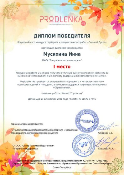 winner_diploma (2).pdf.jpeg