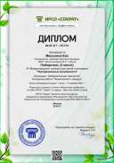 diplom_127174.pdf.jpeg