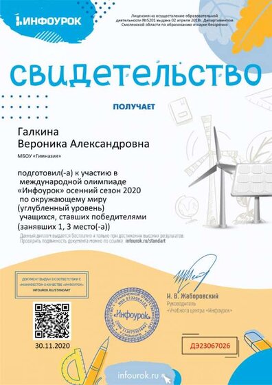 Свидетельство проекта infourok.ru №ДЭ23067026.jpg