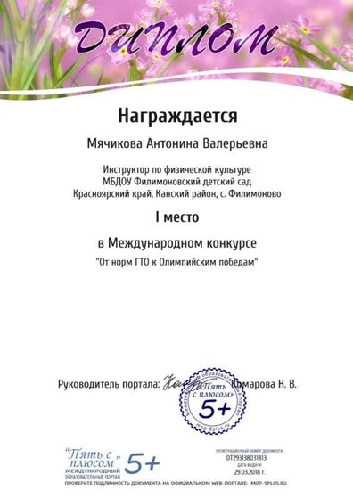 DT293138031813.jpg