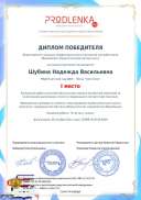 winner_diploma.pdf.jpeg